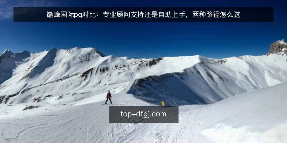 巅峰国际pg对比：专业顾问支持还是自助上手，两种路径怎么选 — 先定评估标准：把需求说清楚 配图