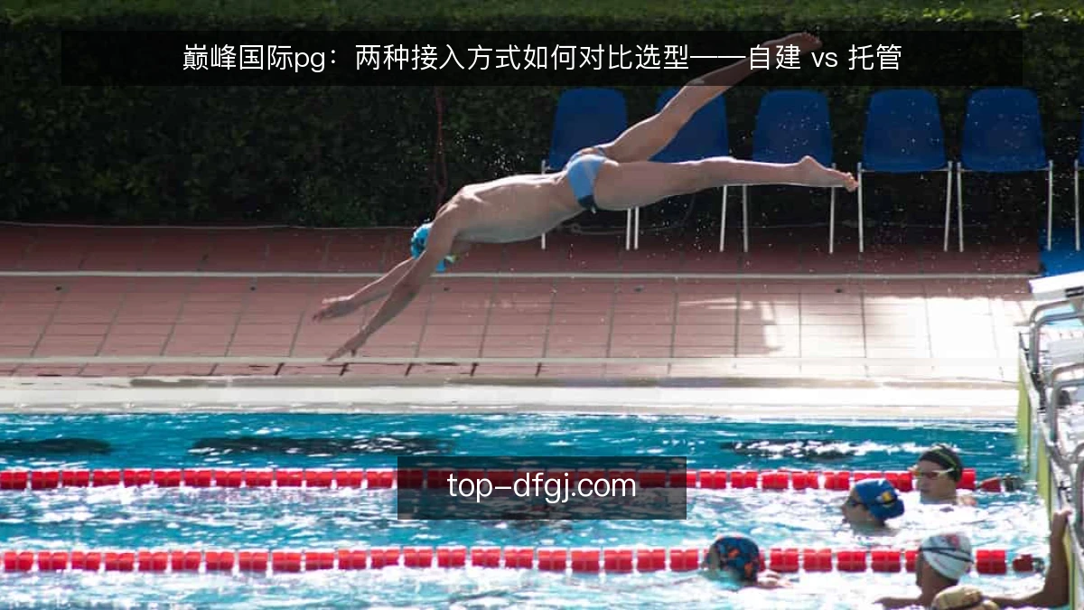 巅峰国际pg:两种接入方式如何对比选型——自建 vs 托管
