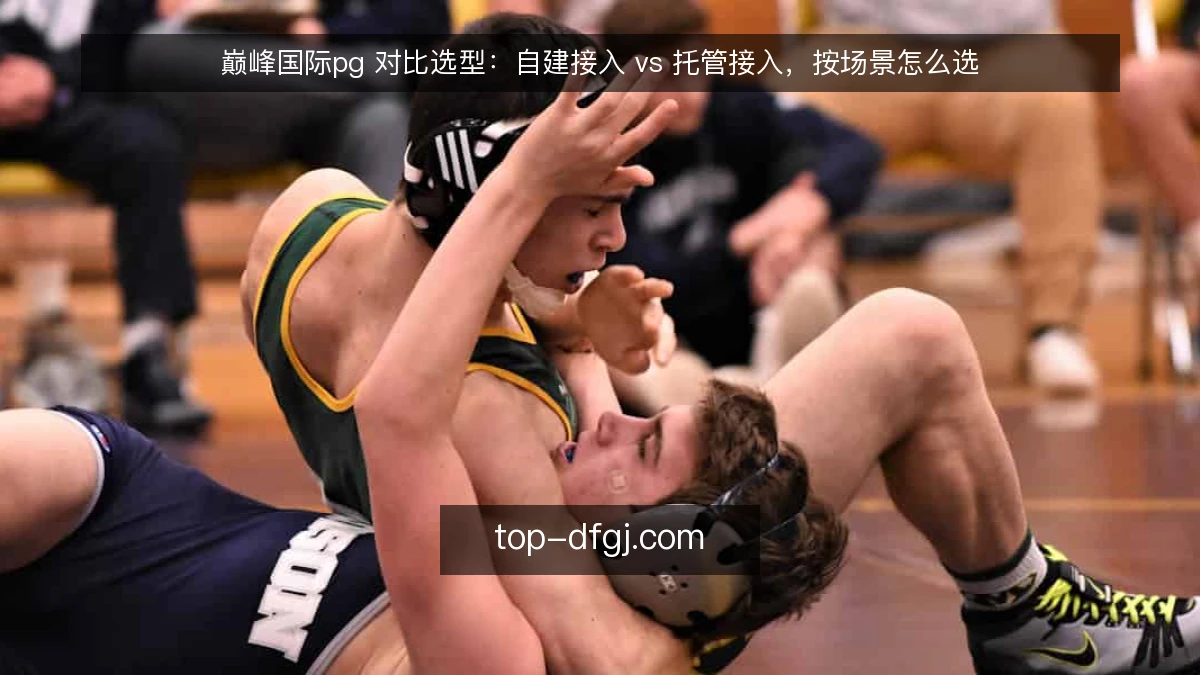 巅峰国际pg 对比选型:自建接入 vs 托管接入,按场景怎么选