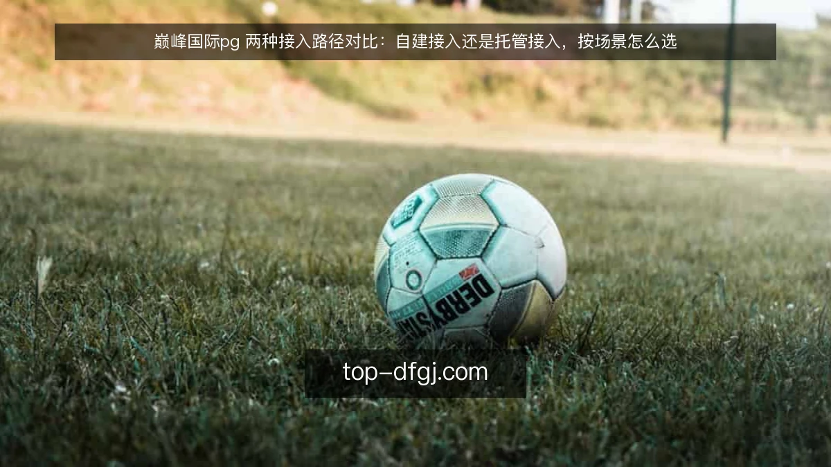 巅峰国际pg 两种接入路径对比:自建接入还是托管接入,按场景怎么选